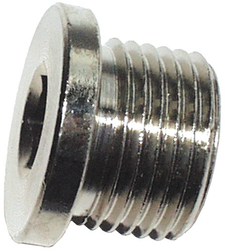 Plug inbus G1/2” parallel avec borst