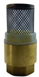 Voetklep veerbelast - clapet anti-retour - York - laiton - 2”